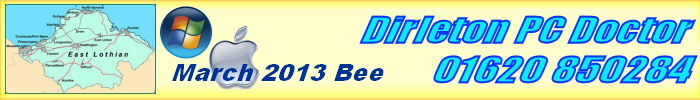 March 2013 Bee